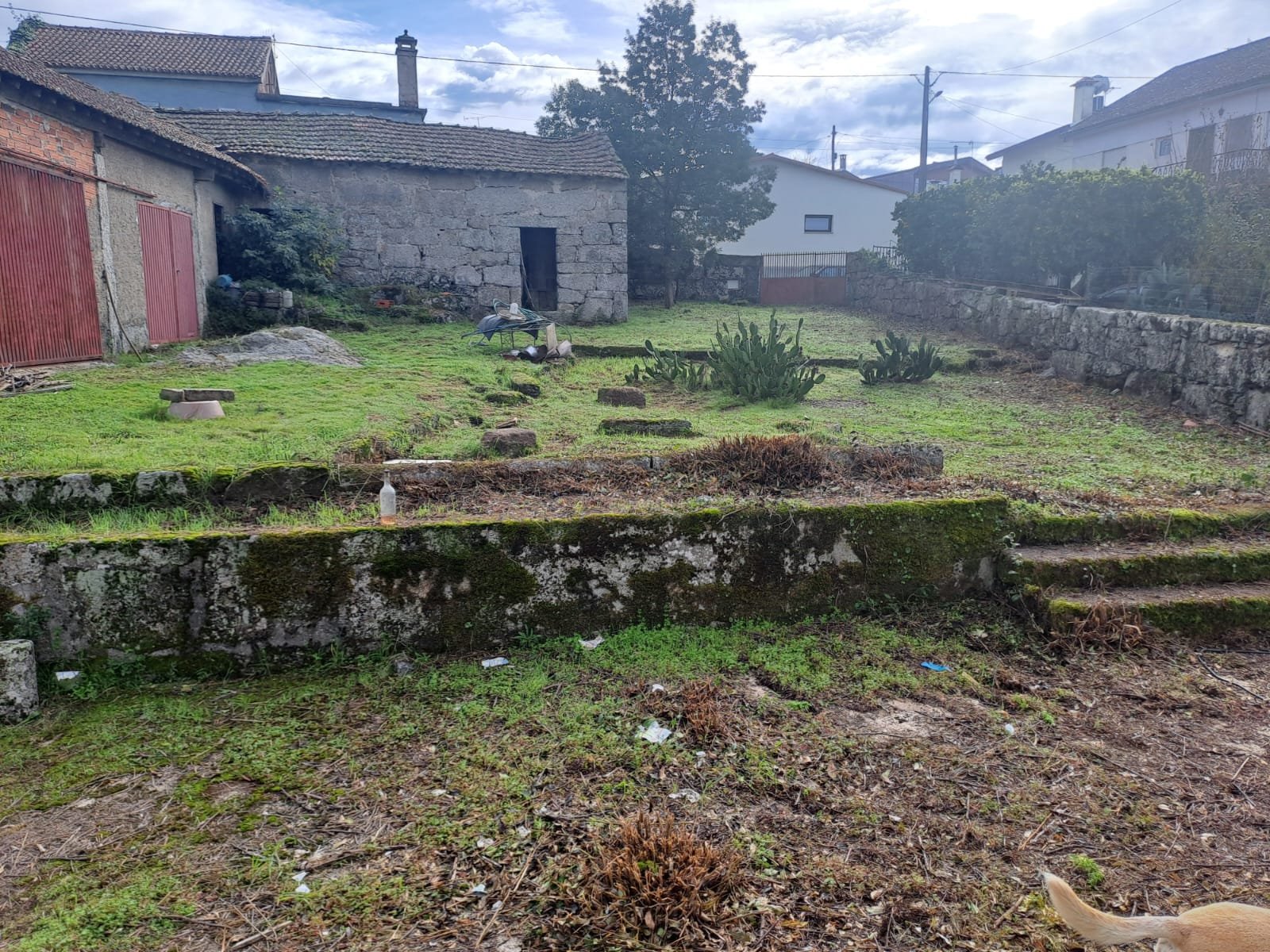 The courtyard between the house and outbuildings, early in the clearing work
