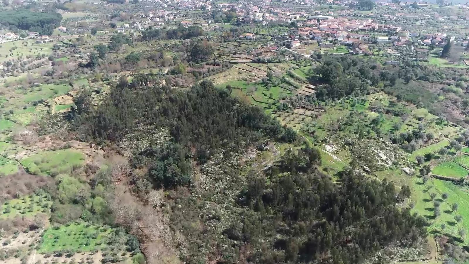 Aerial view of the property and surrounding land, April 2025