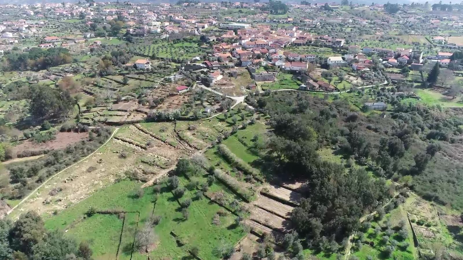 Aerial view of the buildings and vineyard land, April 2025