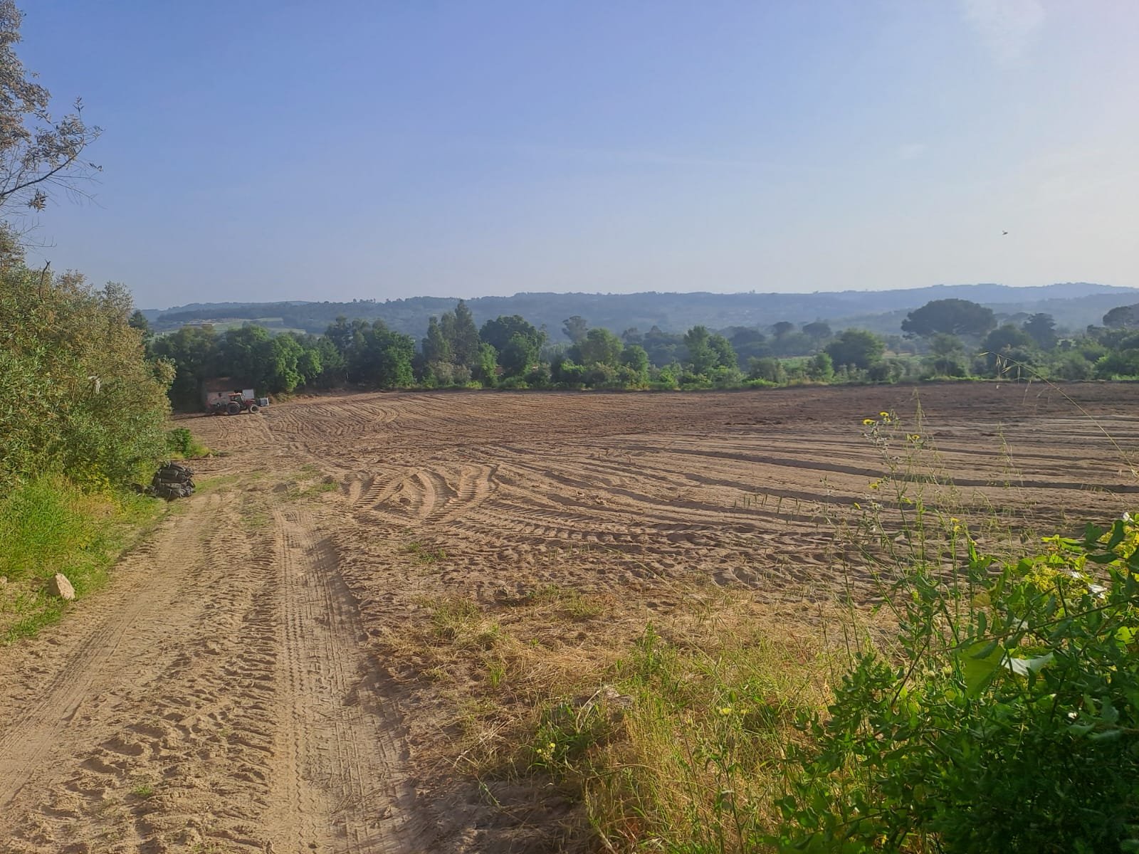 Overview of the tilled land, ready for the next stage of planting