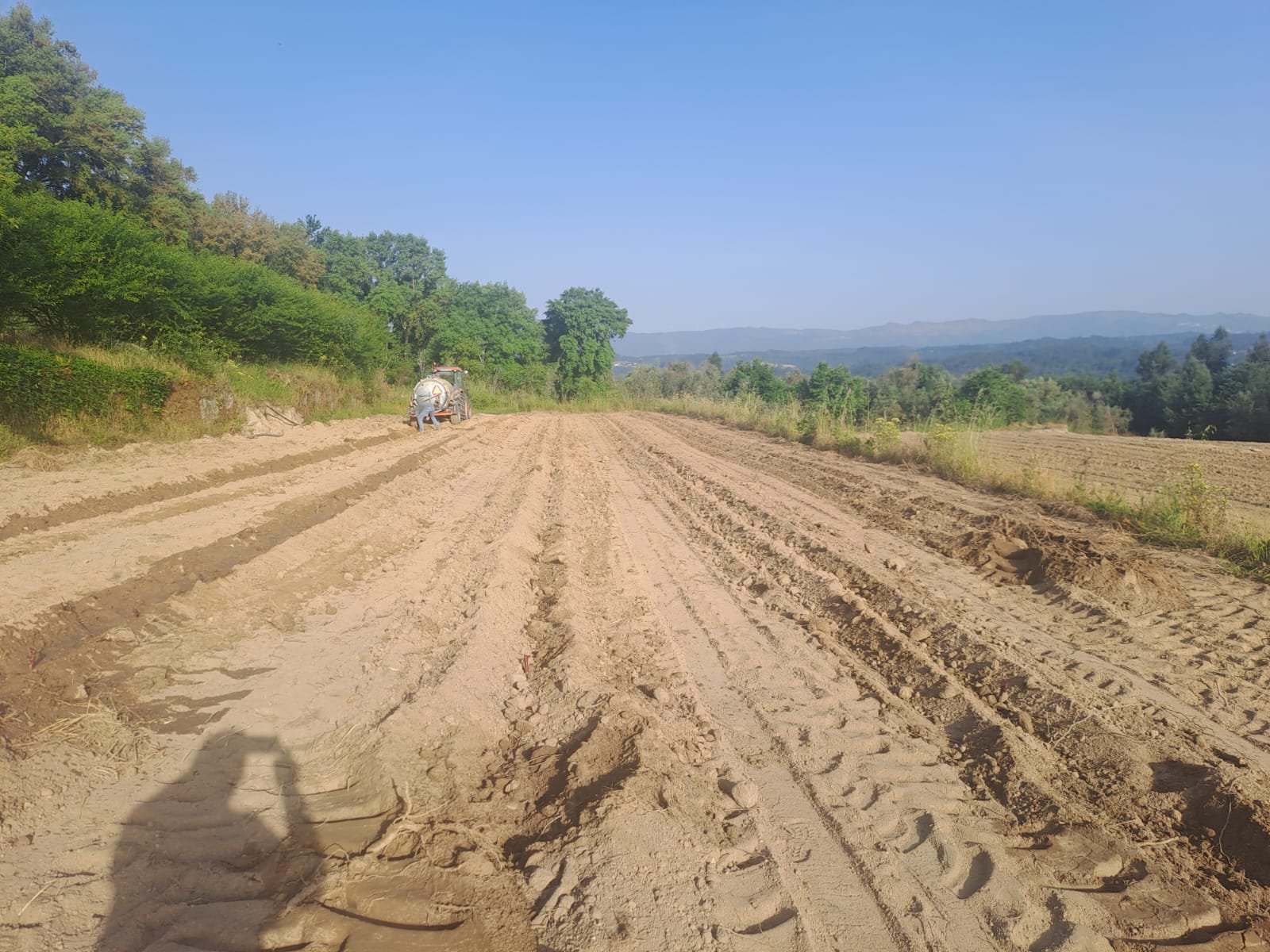 A tractor laying out planting rows across the plot