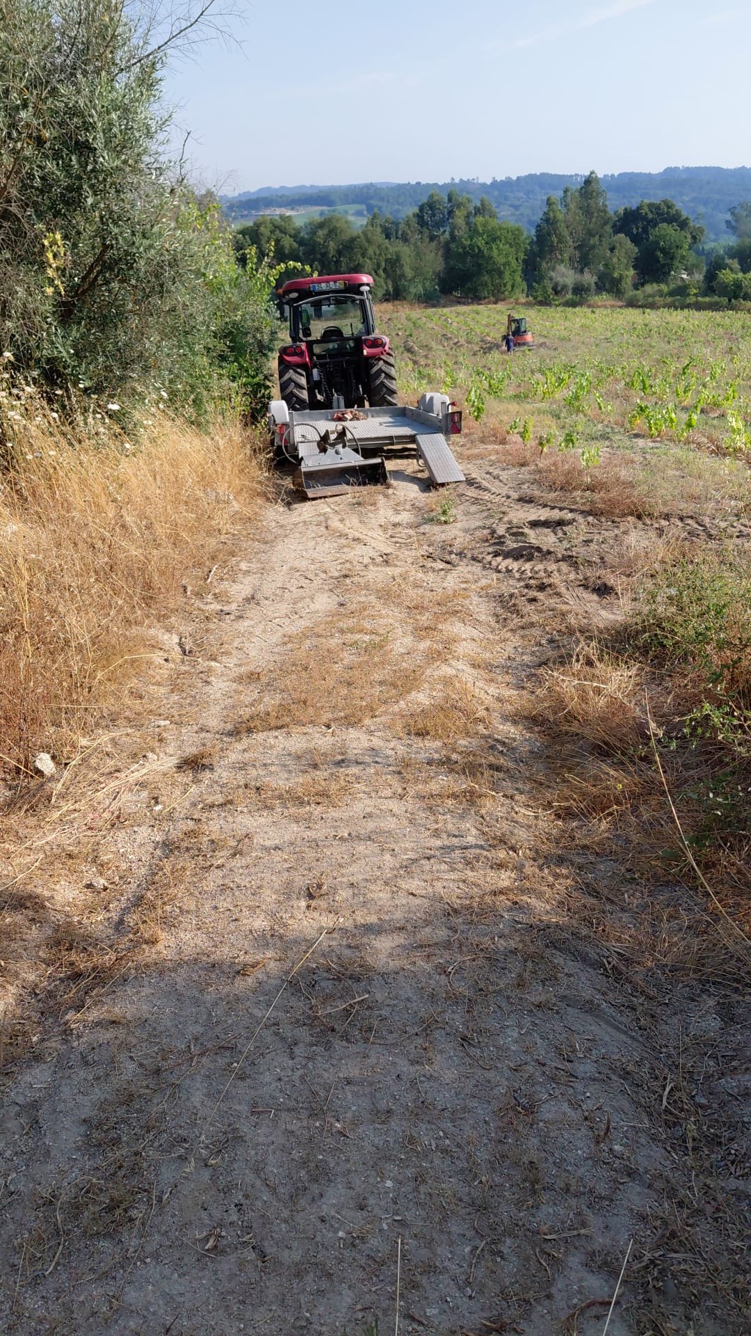 A tractor with a tiller attachment parked along the vineyard access path